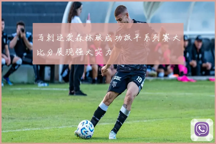 马刺逆袭森林狼成功扳平系列赛大比分展现强大实力